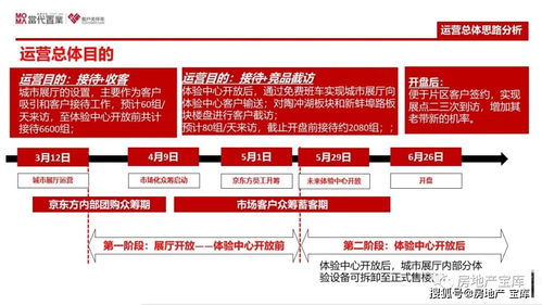 《某项目策划定位报告》框架解析与公关服务整合策略